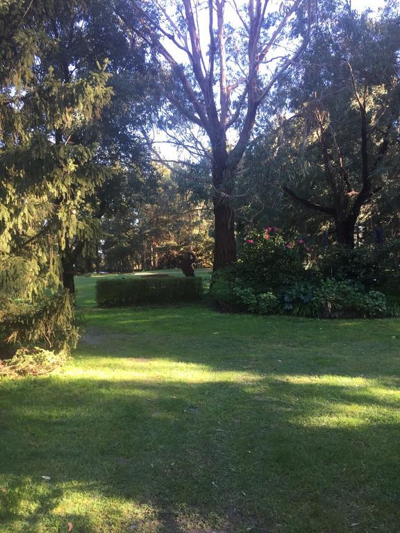 Sherwood Park Bed And Breakfast Somerville Eksteriør billede